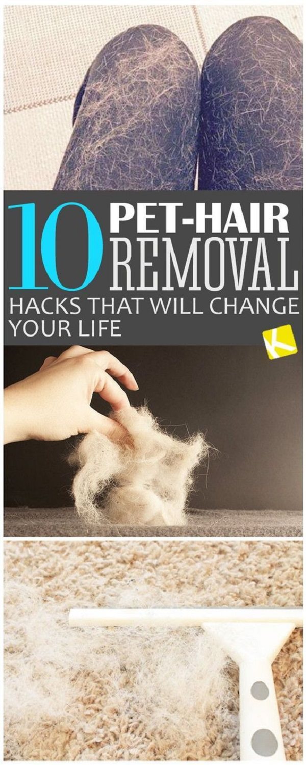 10 Pet-Hair Removal Hacks That Will Change Your Life - House Good